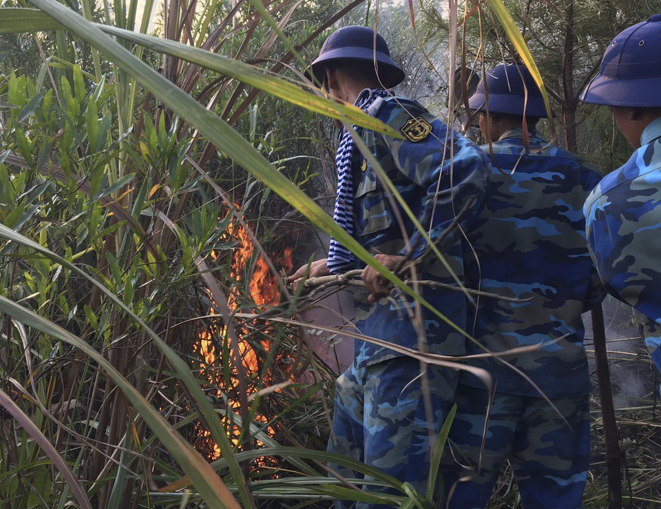 Gần 80 cán bộ, chiến sĩ Vùng 1 Hải quân tham gia chữa cháy rừng tại Hạ Long